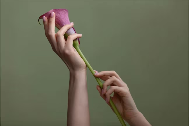Image sample 5